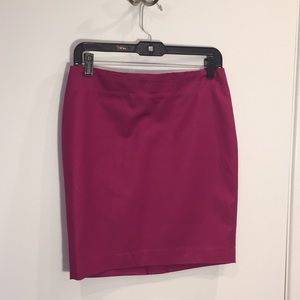 Dalia Collection Skirt NWT